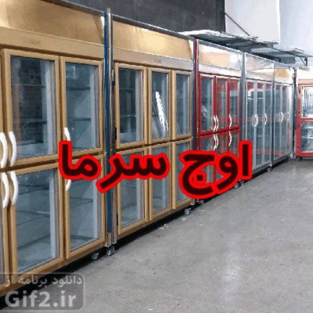 1736313774691.webp
