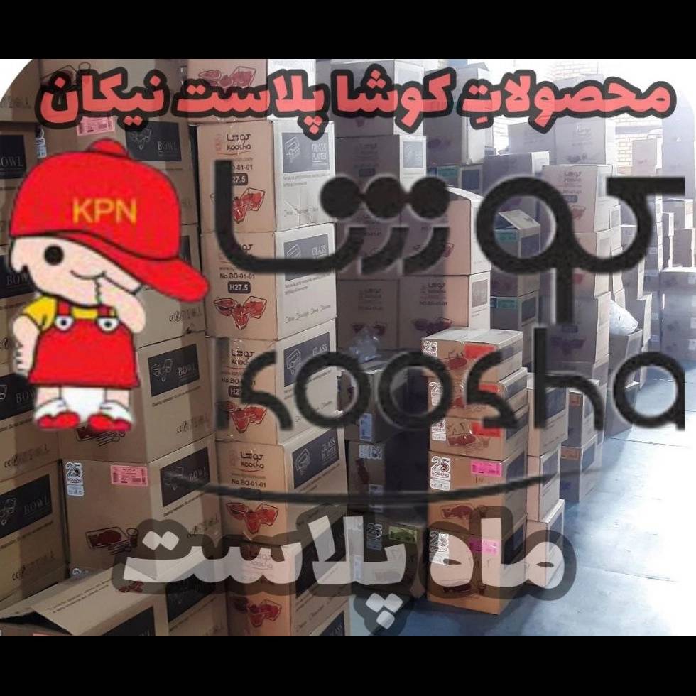 1739944264196.webp