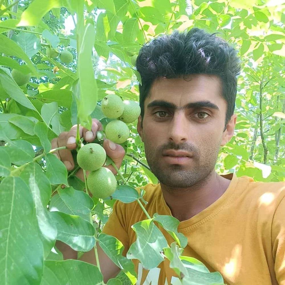 1744785207597.webp