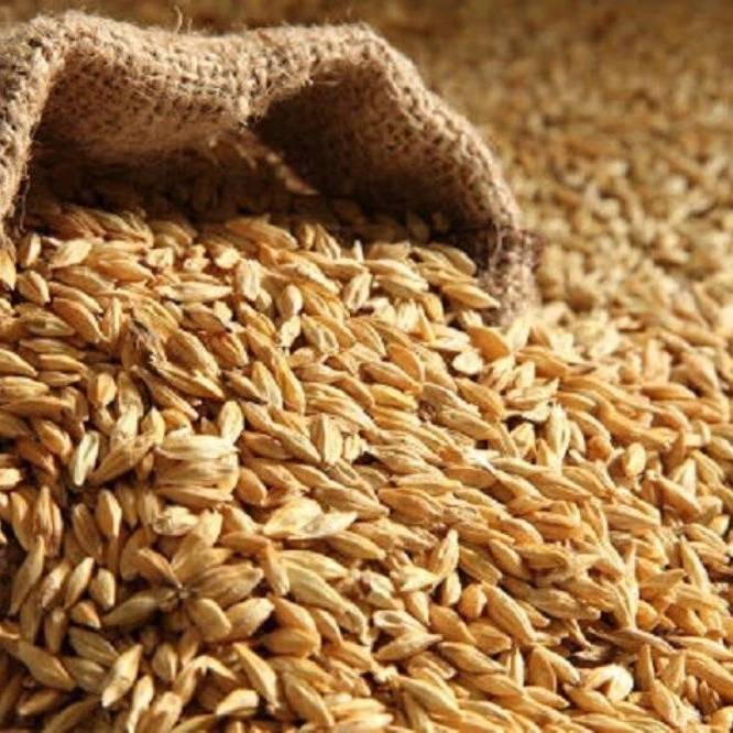 1746344798547.webp