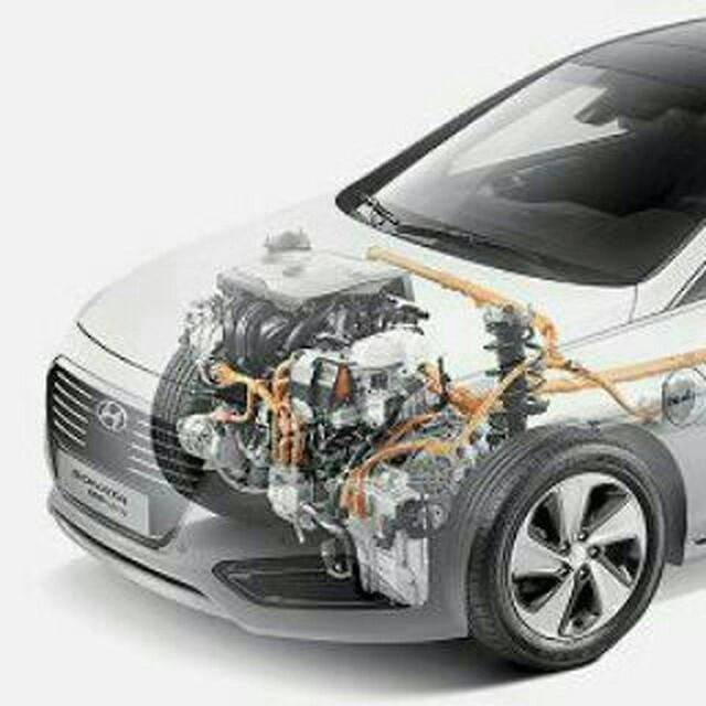 1695291566996.webp