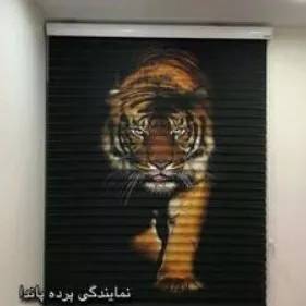 1695450032394.webp