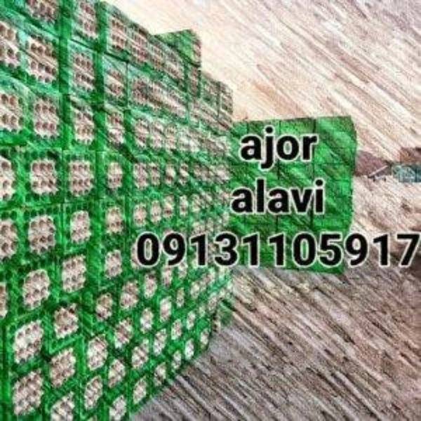 1699178666612.webp
