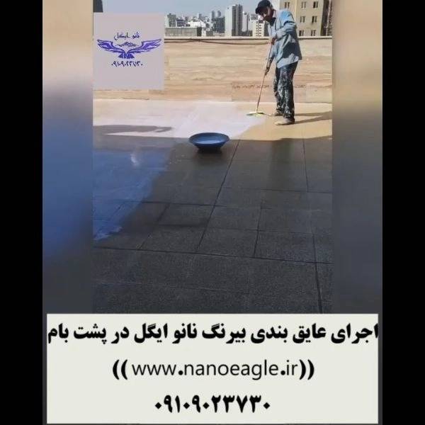 1701860969582.webp