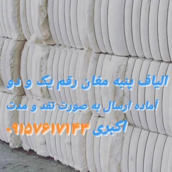 1708773641438.webp