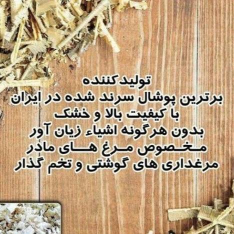 1711789936237.webp