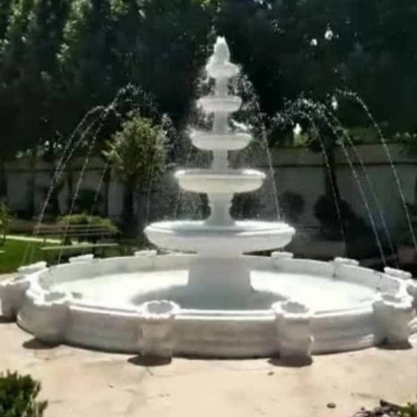 1713598785559.webp