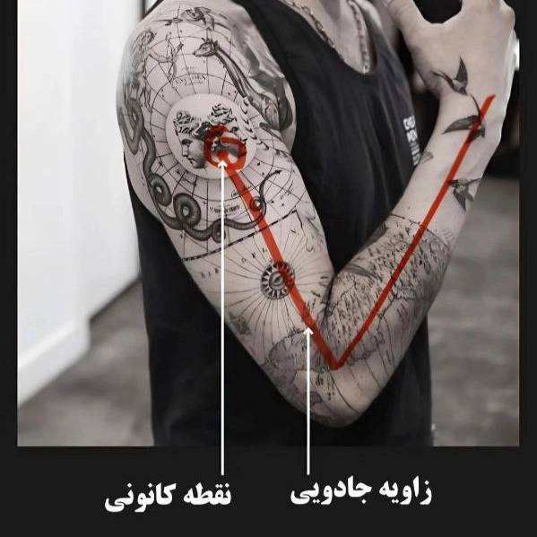 1720871900007.webp