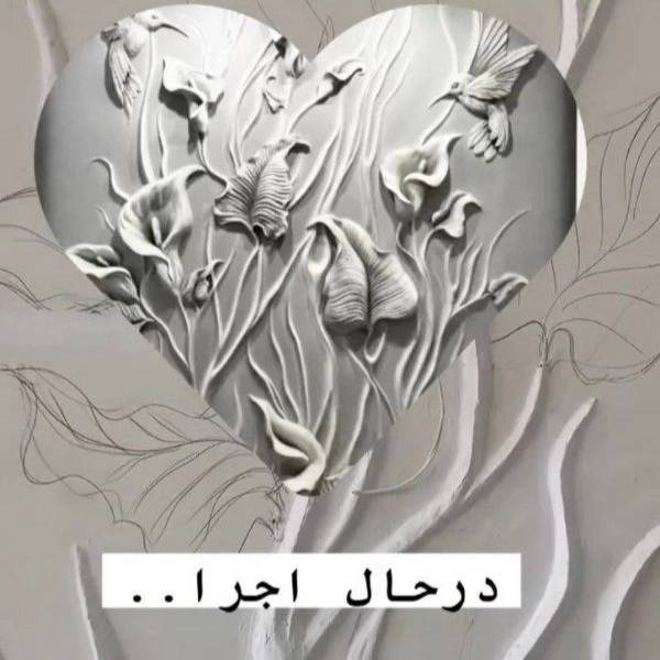 1723021604495.webp