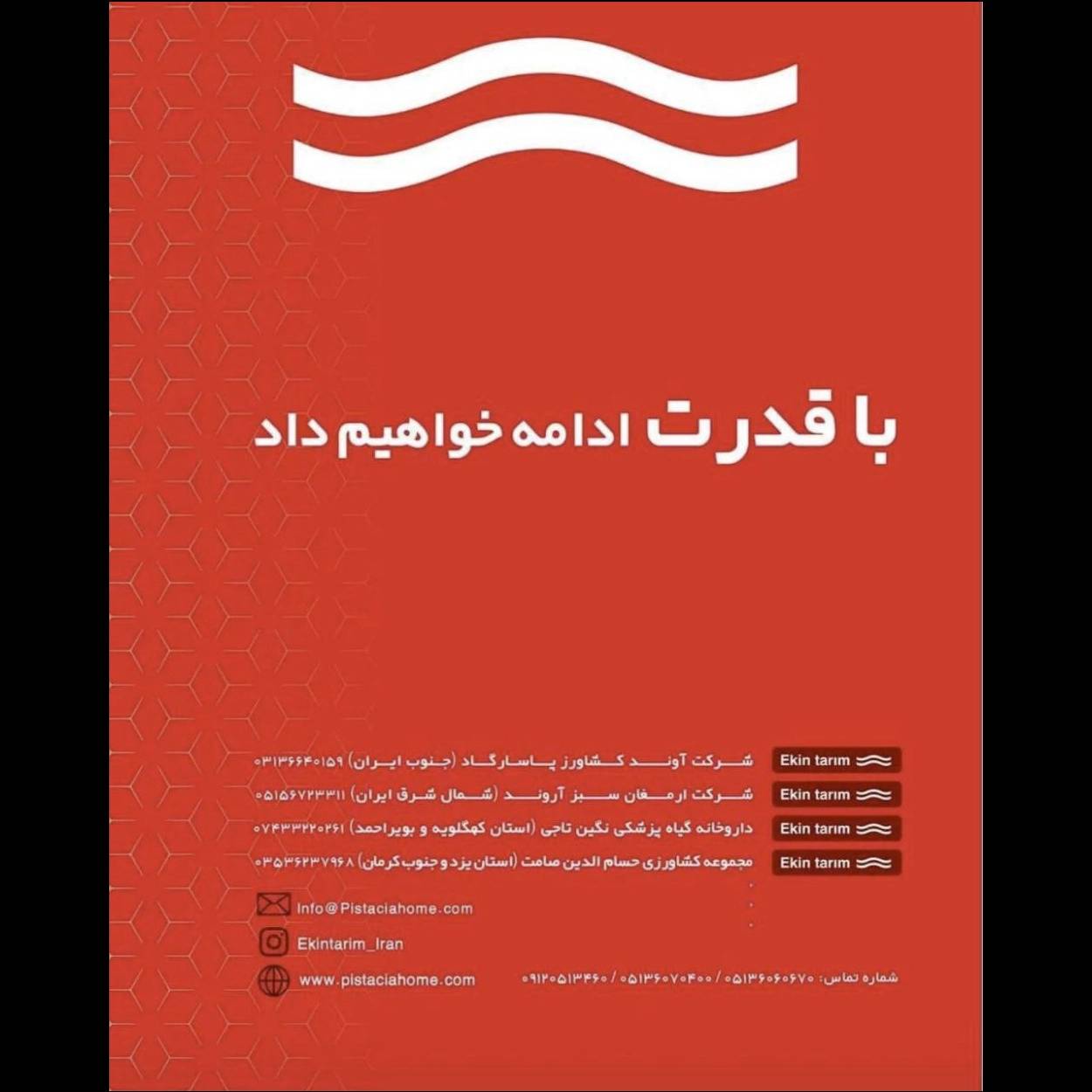 1732094802108.webp