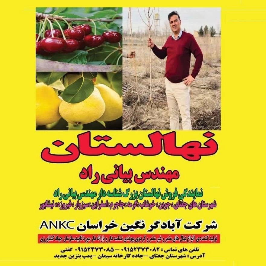 1734336489514.webp