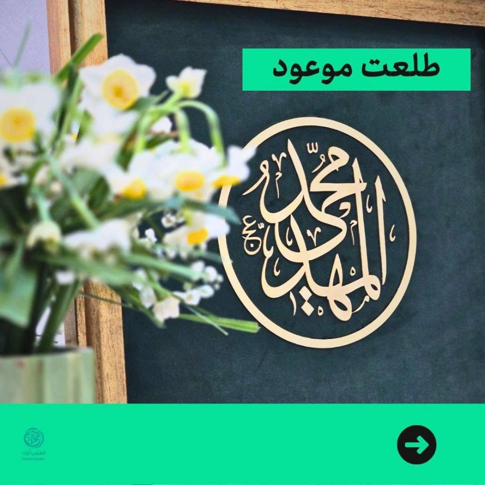 1734417240011.webp