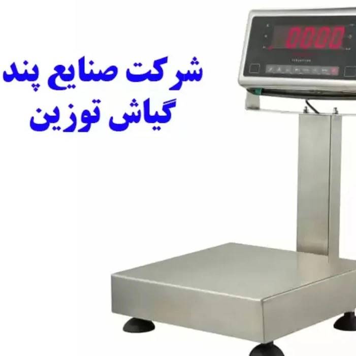 1738409419417.webp