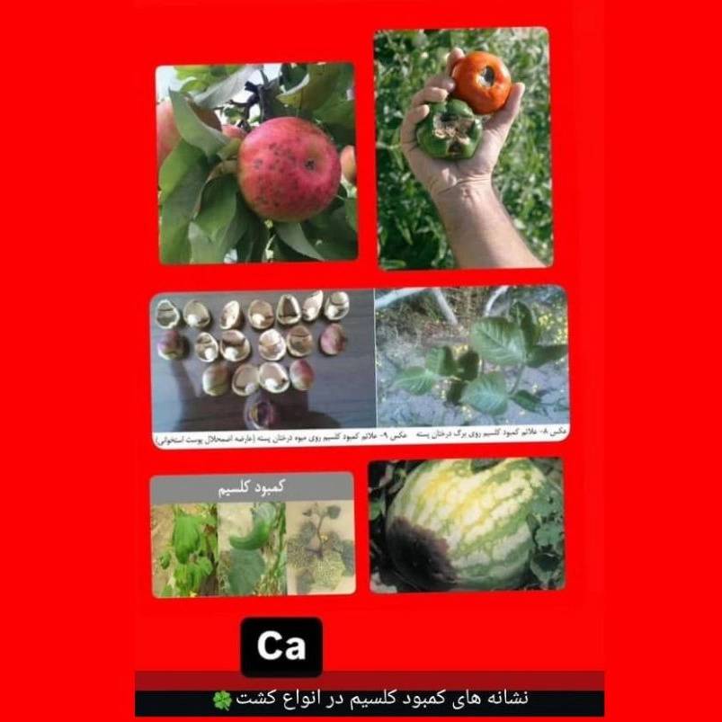 1741684254650.webp