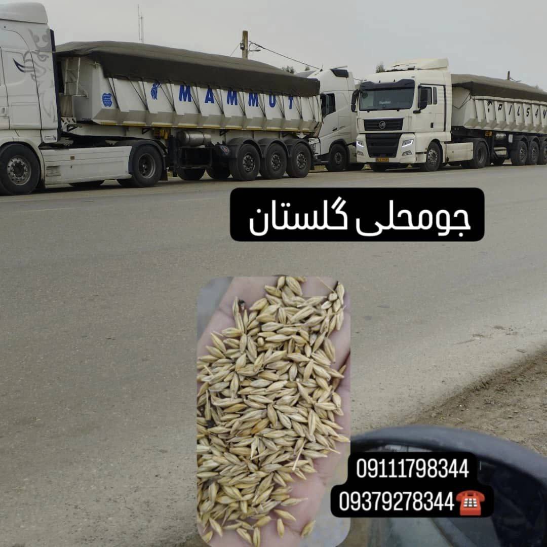 1743844279311.webp