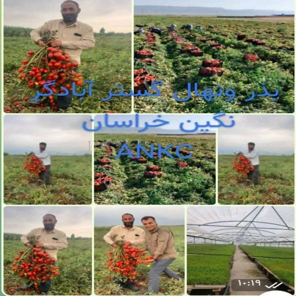 1749642823367.webp