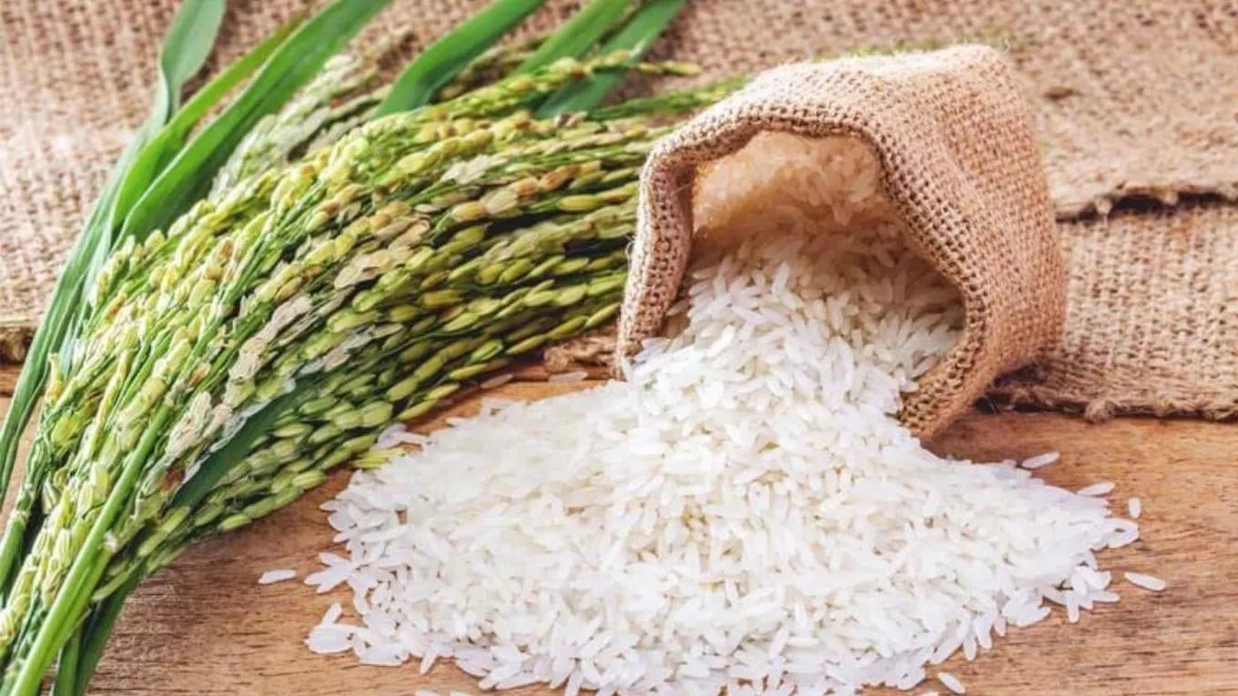 İnci pirinç öğütme ve pirinç öğütme fabrikası