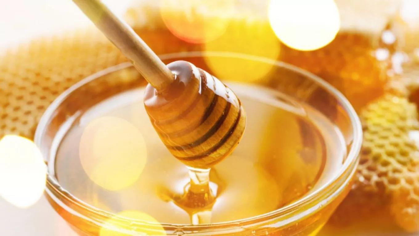 Properties of honey and treatment of diseases