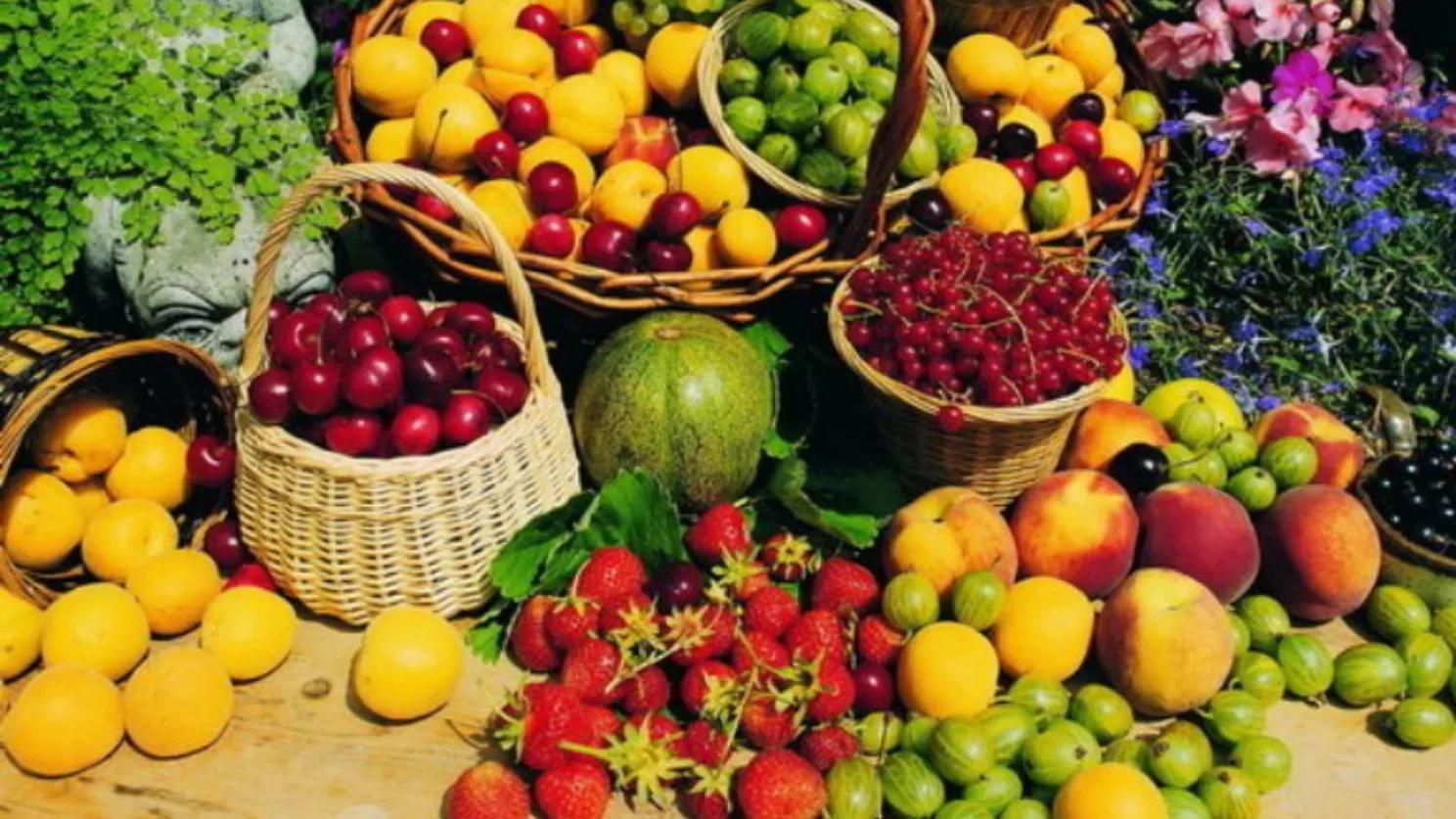 طرق تصدير الملابس الصيفية إلى روسيا