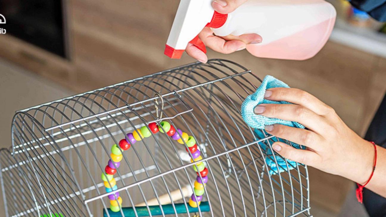 Tips for cleaning the bird cage