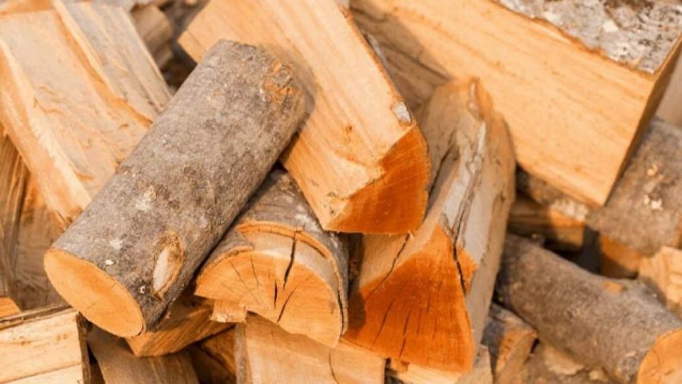 Alder wood industry