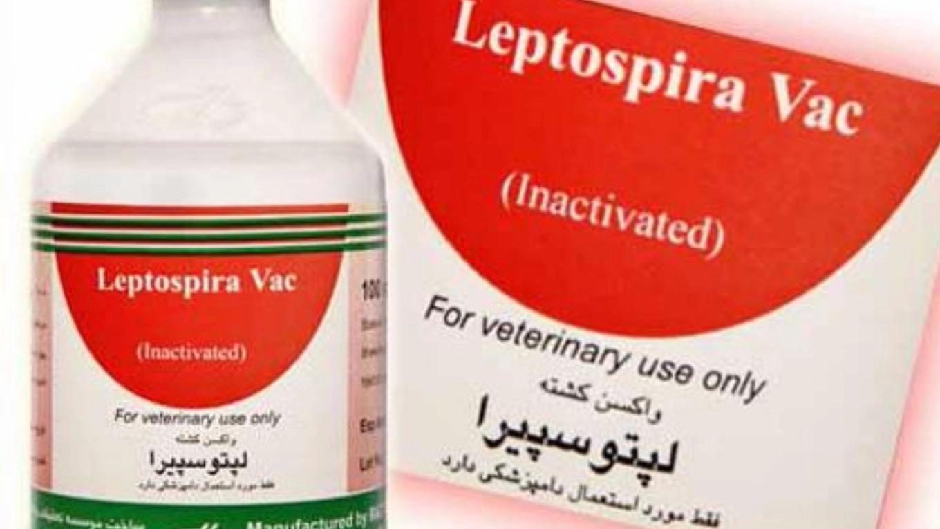 Familiarity with animal vaccines (leptospira vaccine)