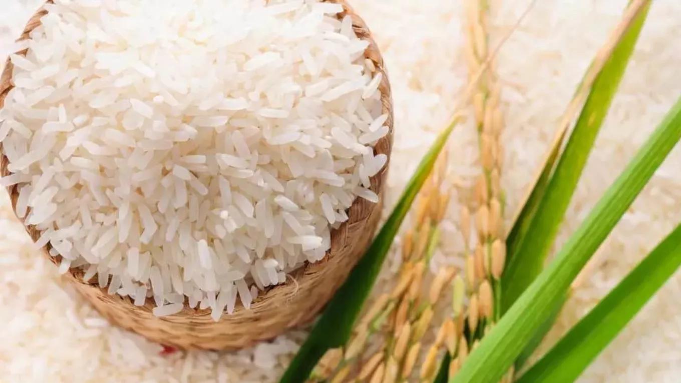 How to store fresh rice