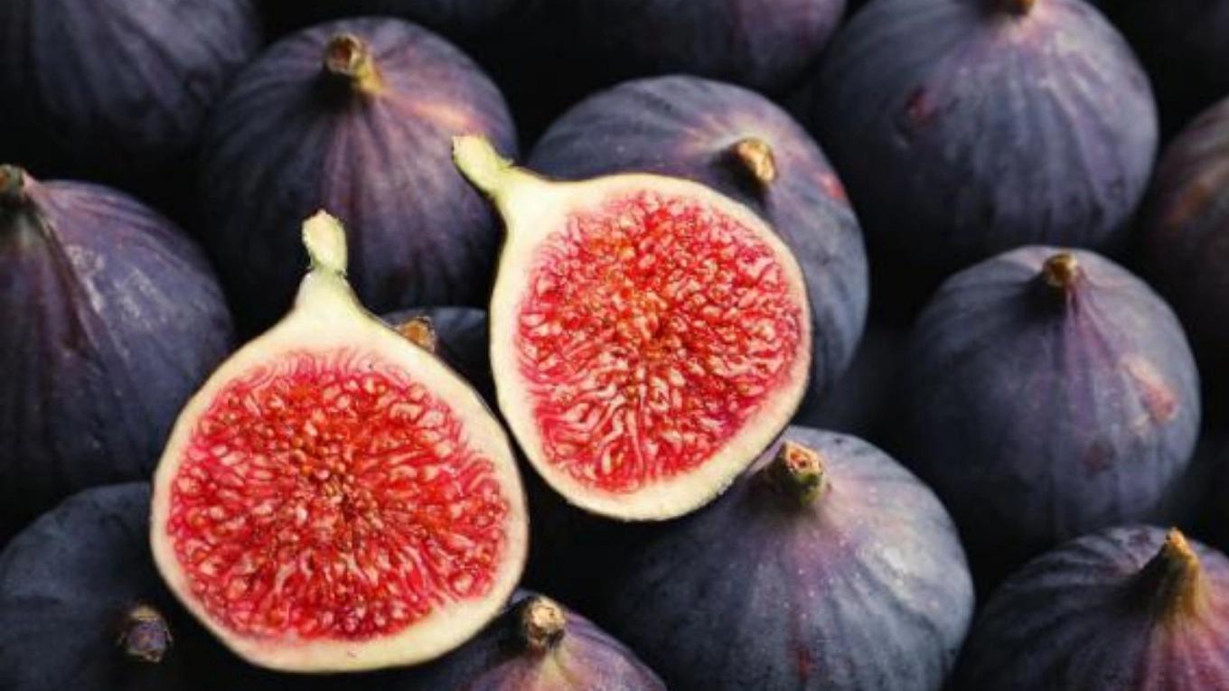 Acquaintance with Estahban figs