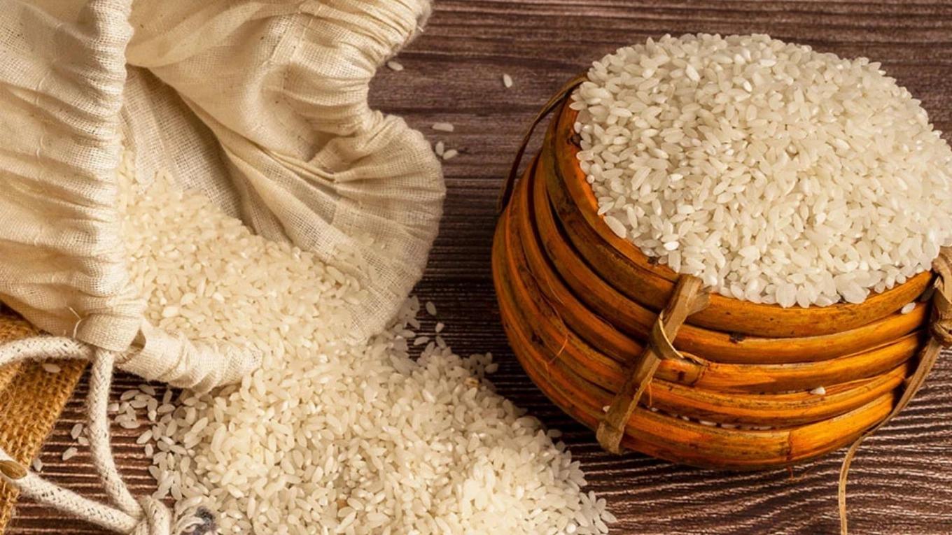 Characteristics of Iranian rice