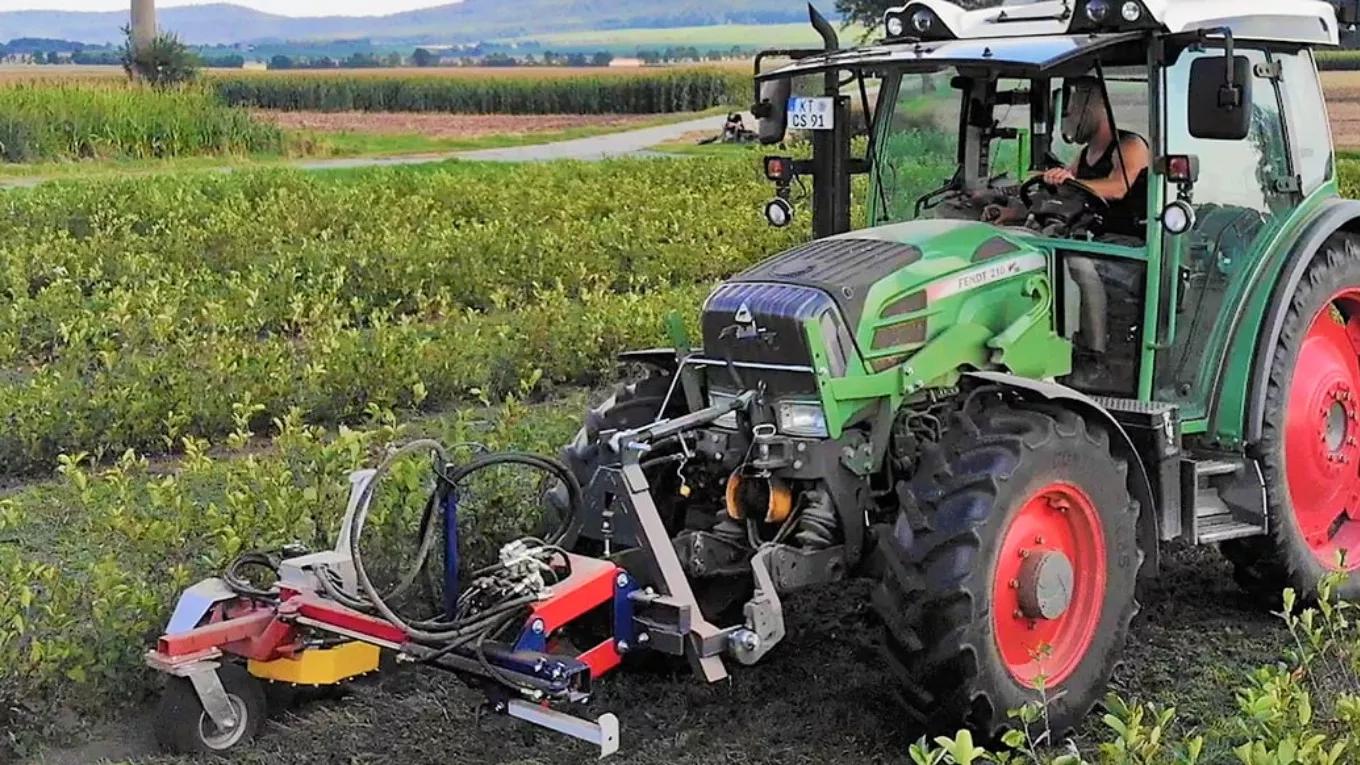 What is a weeder?