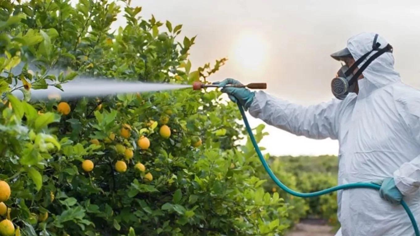 The most important points you should know about spraying agricultural products