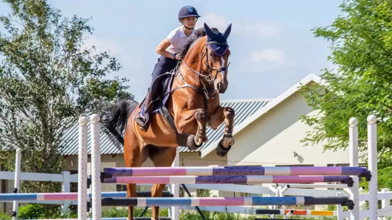 Getting to know all kinds of riding disciplines