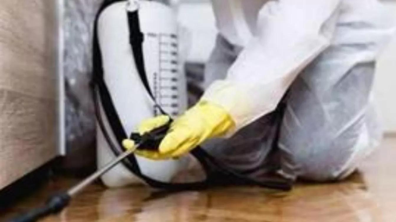 The most important tips for spraying houses