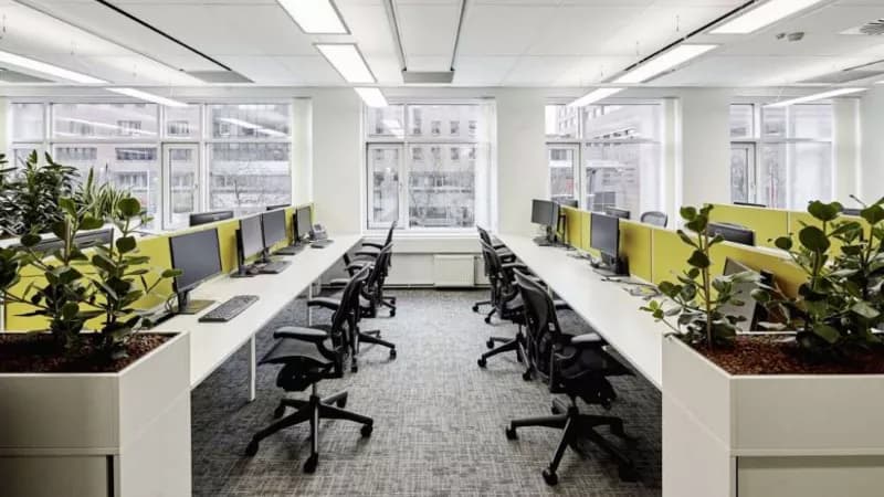 Office decoration