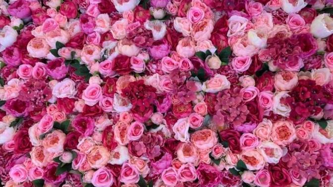 What is the meaning of each color of the rose?