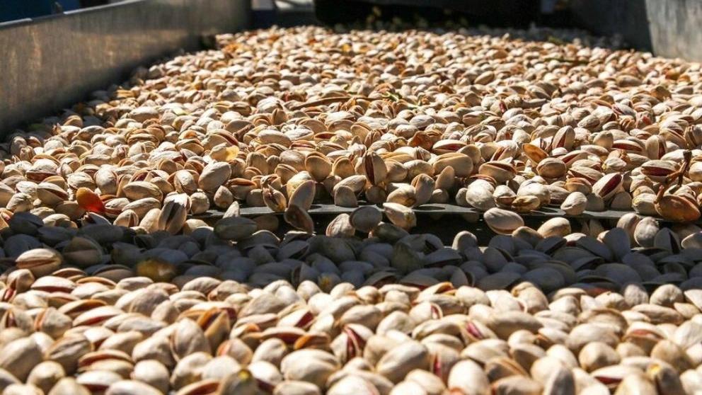 Pistachio processing machines and devices