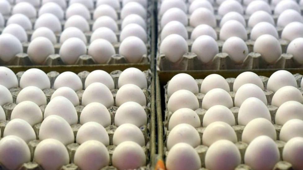 Yumurta diyetini ve yumurtanın faydalarını öğrenin!