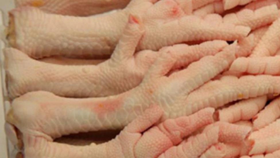 Getting to know the properties of chicken feet