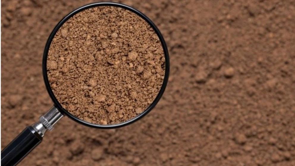 soil examination