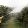 Giti Mehr Sabz Spraying Company in Yazd