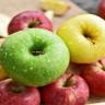 Sale and export of Mohammadi apples in Tabriz