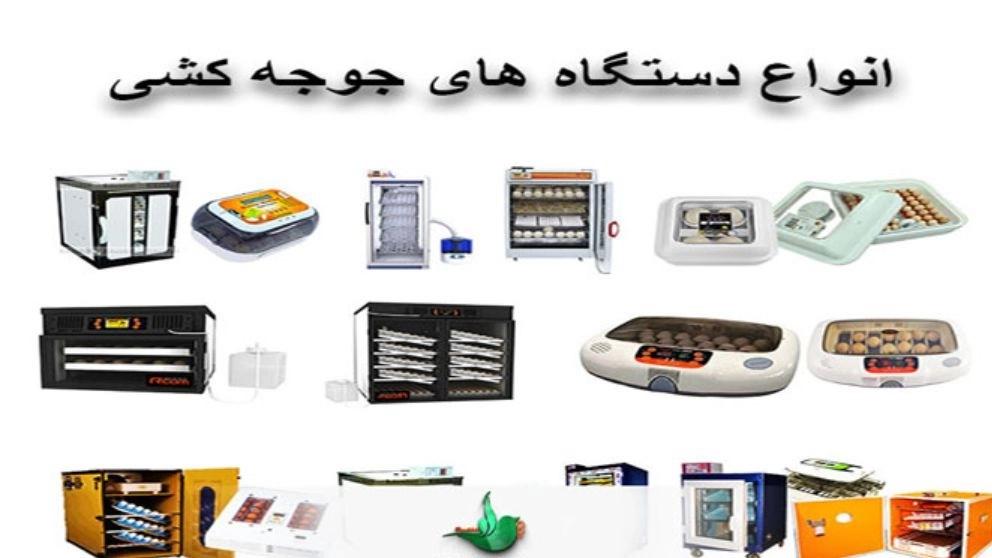 What is an incubator and what is its use?