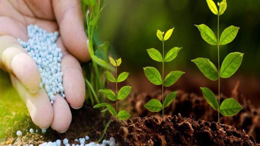 The difference between chemical and organic fertilizers