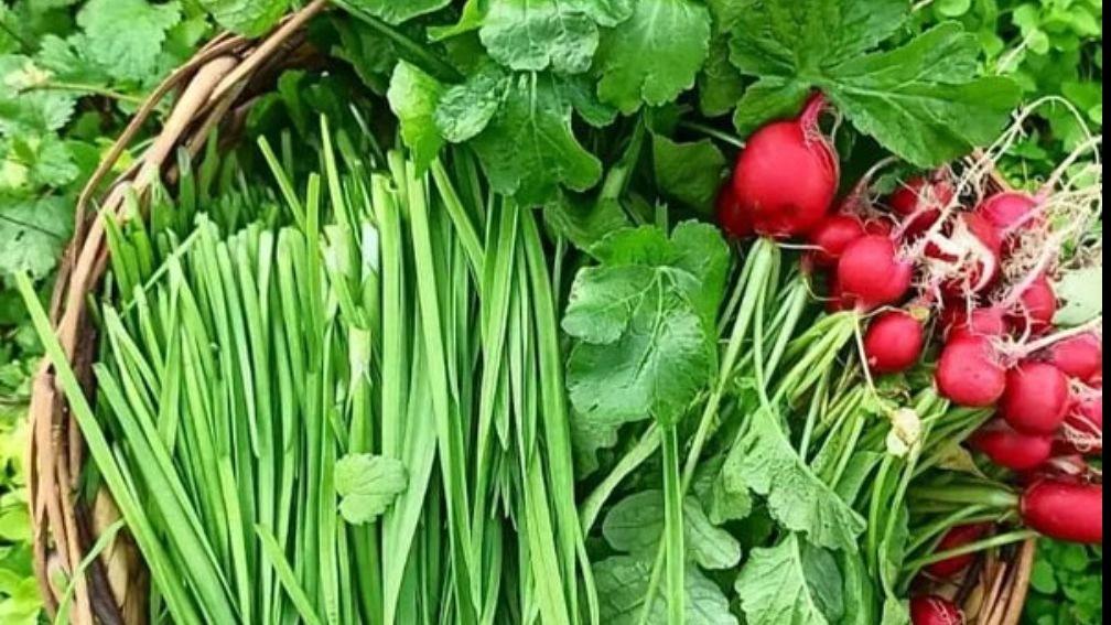 The properties of eating vegetables