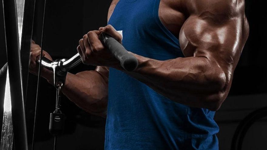 Introduction of basic bodybuilding movements