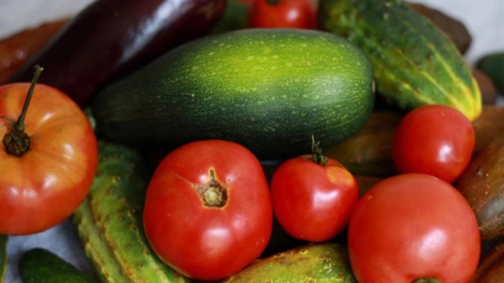Iron fertilizer for summer crops and vegetables