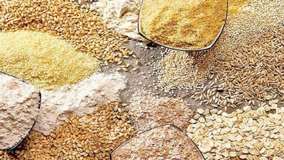 جميع أنواع الأعلاف الحيوانية