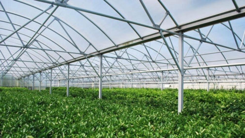 Types of greenhouse structures