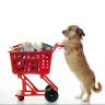 Eva Pet Shop, all kinds of animal supplements and toys in Lahijan