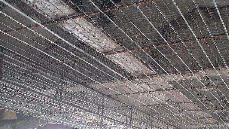 Rabbits false ceiling